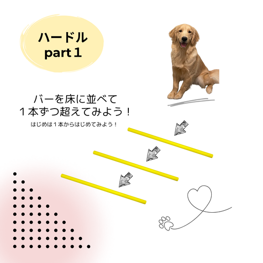 【遊び方】ハードルpart1