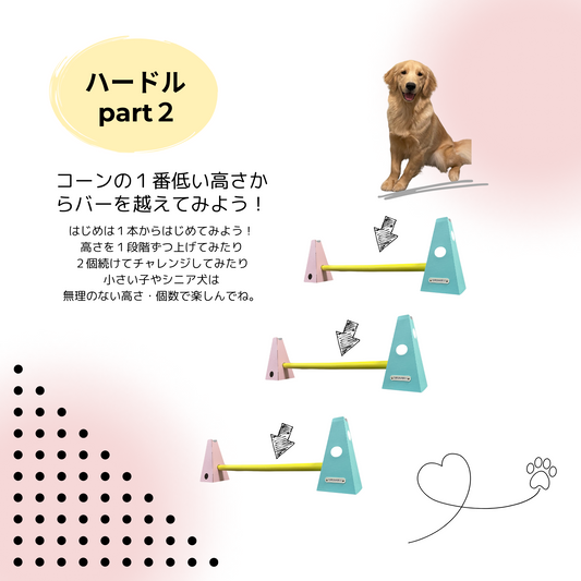 【遊び方】ハードルpart2