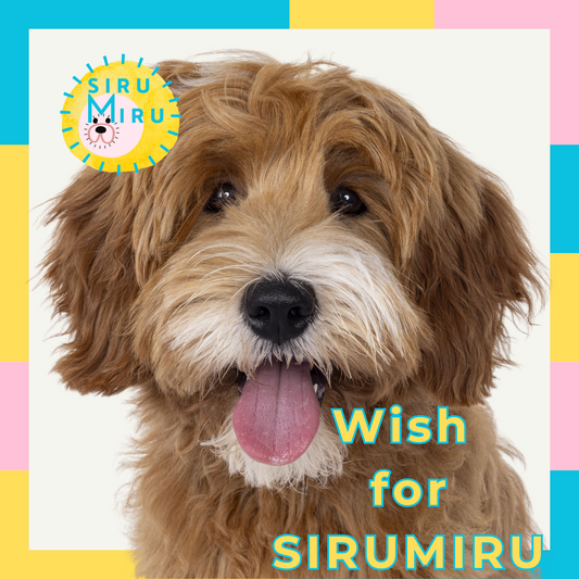 Wish for sirumiru