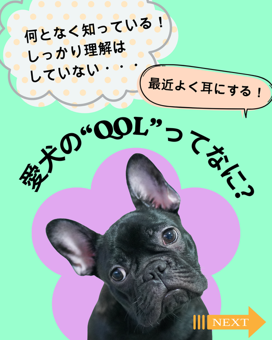 最近よく耳にするQOLって何？？！