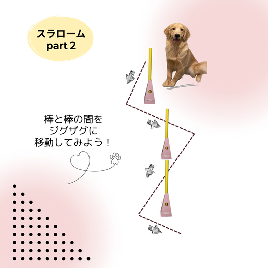 【遊び方】スラロームpart2