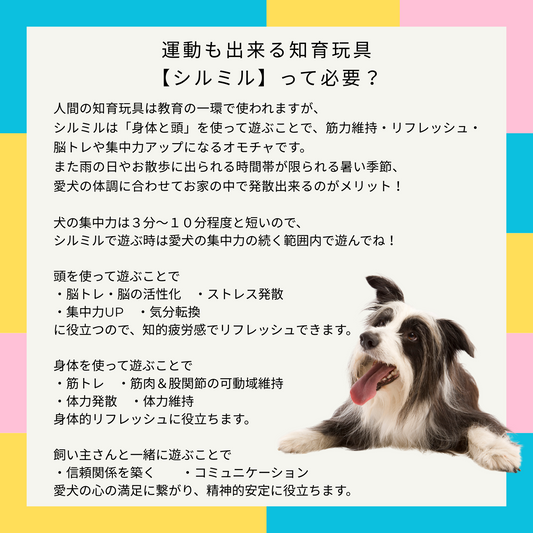 なぜシルミルが必要！？？
