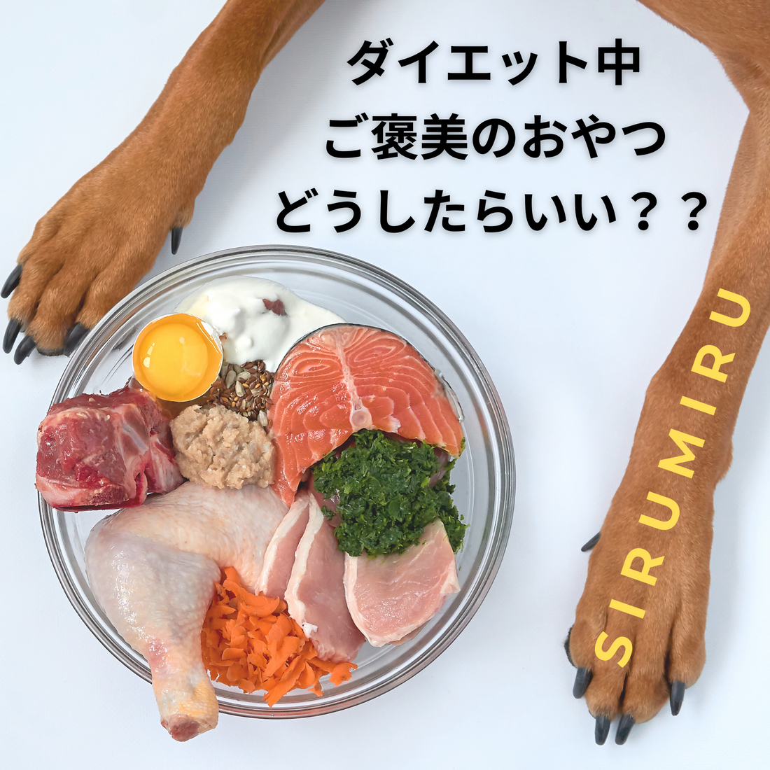 愛犬がダイエット中の方！ご褒美のおやつについて