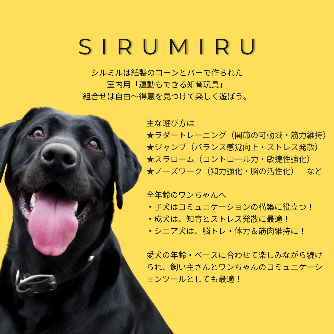 シルミル　運動もできる知育玩具って？！