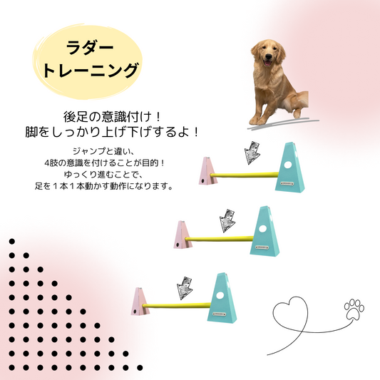 【遊び方】ラダートレーニング