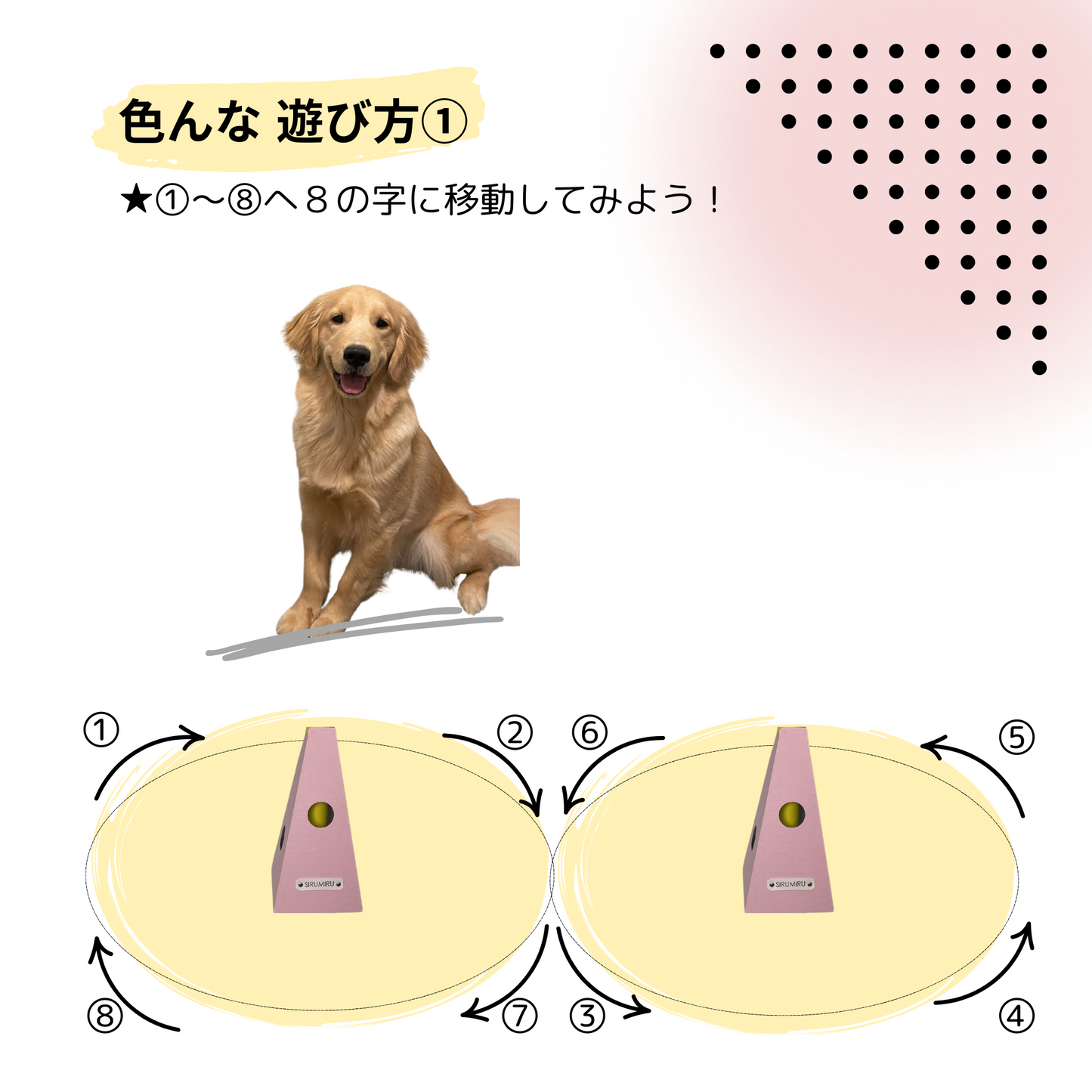 １セット（コーン2個、バー1本付き）