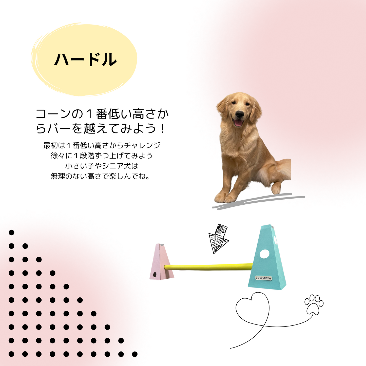 １セット（コーン2個、バー1本付き）
