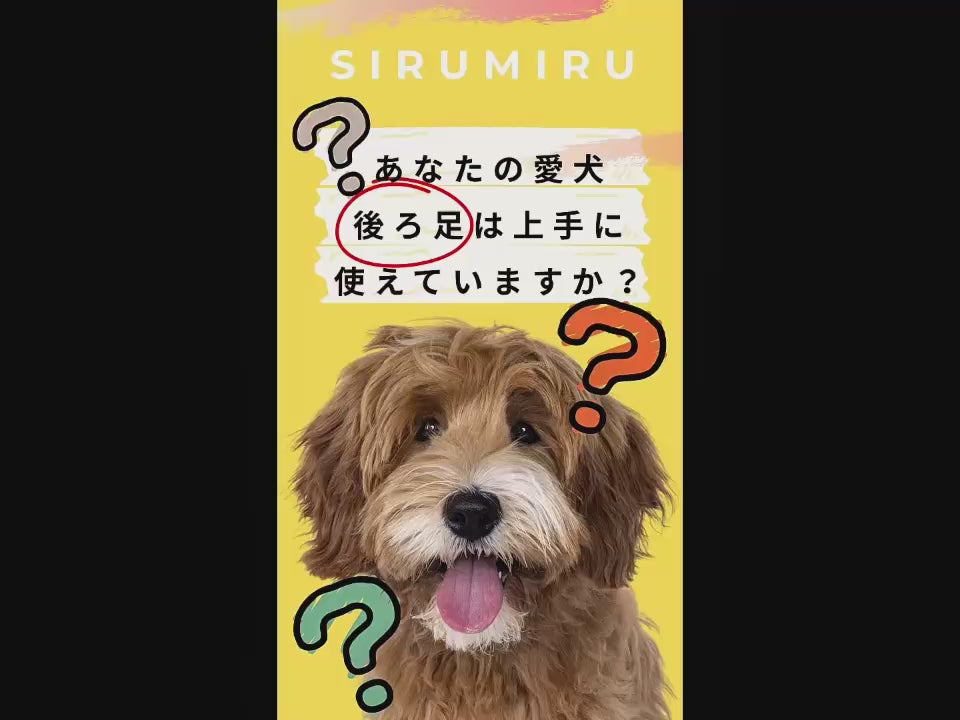 動画を読み込む: 